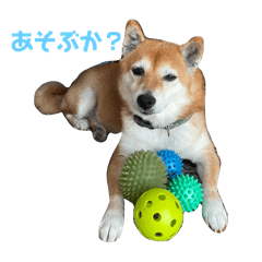 rrr_20250422134930
