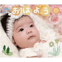 chihiro_20250422120248