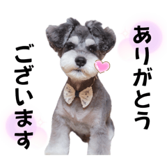 Lily_20250422130806