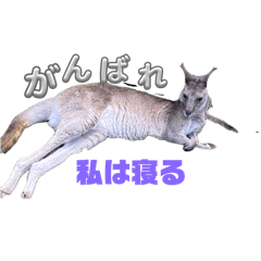 ZEN_20250422133003