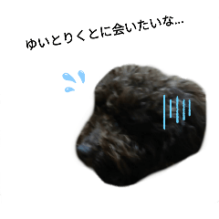 Sasa_20250422164749
