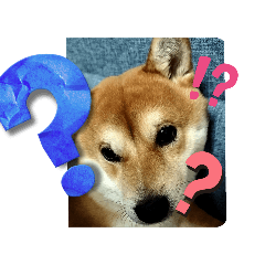 YAMA_20250422141746