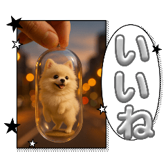 Shiro_20250422185142