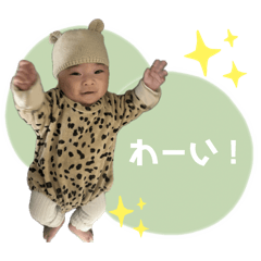 moe_20250422173748