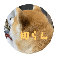 Vihanto_20250422193021