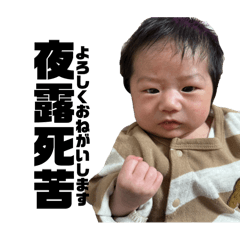 vivi_20250422193915
