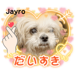 Love Jayro
