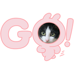 Hiro_20250422202547