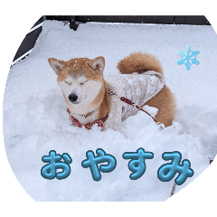 Apple_20250422201225