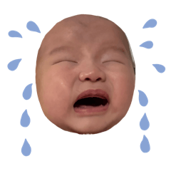 帆寶♡