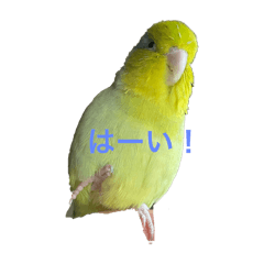 ru_20250422153719