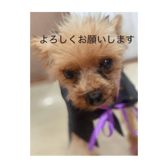 hi_20250422190948