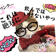 Shun_20250422190959
