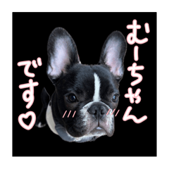 Moo_20250422213724