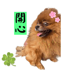 可米