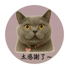 肥肥寶貝們！