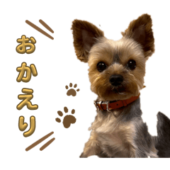 nana_20250422162545