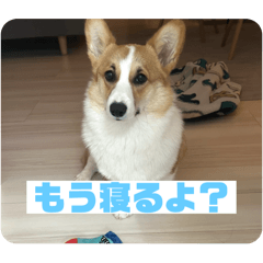 h_20250422163321
