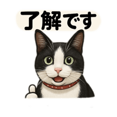 hachi_20250422200520