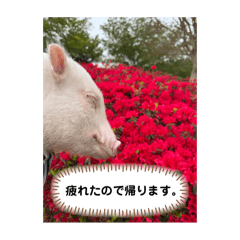 taka_20250422173019