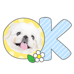StampNo:5245