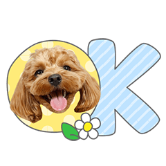 StampNo:5242