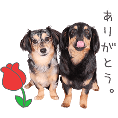StampNo:5240