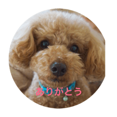 fuwamonaka