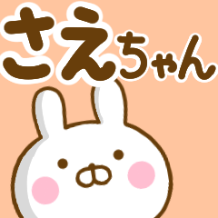 Rabbit Usahina saechan