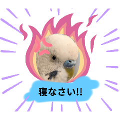 mokumoku_20250422182956
