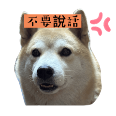 可愛小小狗狗