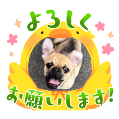 Yuki_20250422211257