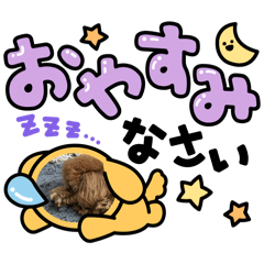 miho_20250422210811