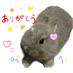 ryo_20250423014755