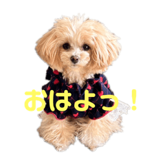 Byron_5