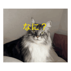 Hinata_20250422173520
