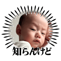 haru_20250423080257