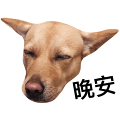 MixDogmomo