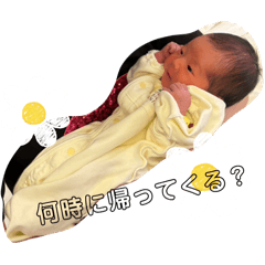 yuzuki_20250423005905