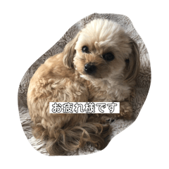 rinka_20250422220429