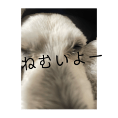 banana_20250422220105