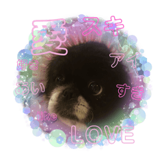 aki_20250423070353
