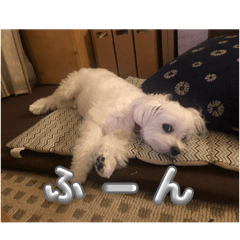 momo_20250423121512