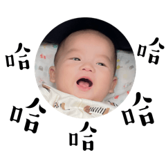 胖迪的療癒日常