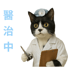 喵星人的互動小劇場