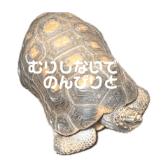 ZEN_20250423092144