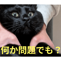 meimei_20250423085931