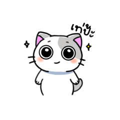 Miaow_20250420193242