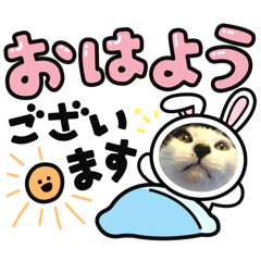 Chisa_20250423003644
