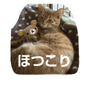 Hokorineko